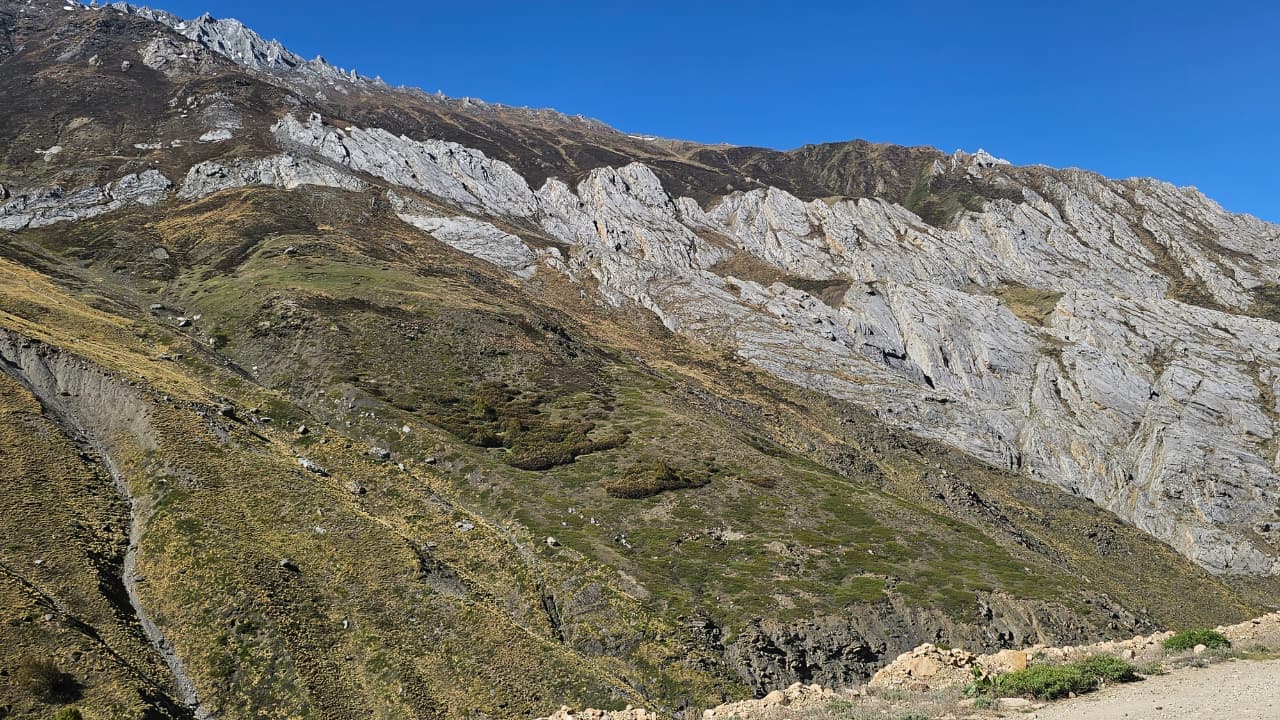 Omparvat View